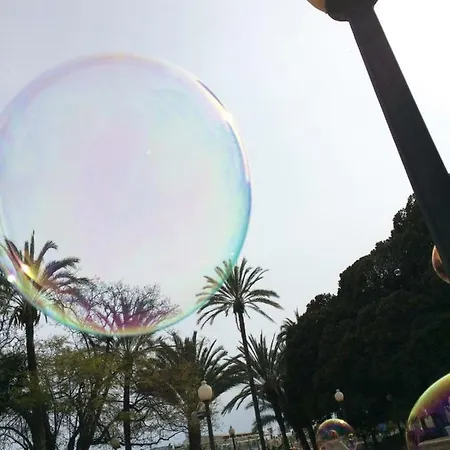 Buenos Dias 알리칸테