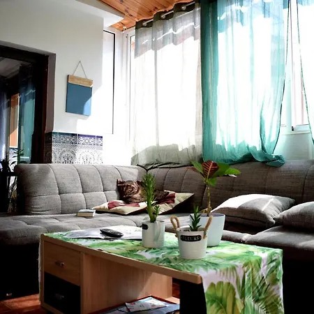 Buenos Dias Alicante