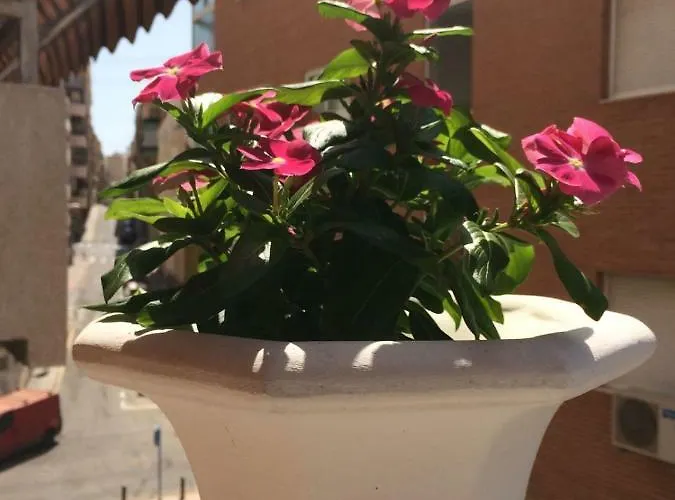 Buenos Dias *